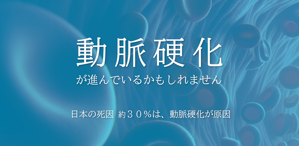 動脈硬化が進んでいるかもしれません 日本の死因約30%は、動脈硬化が原因
